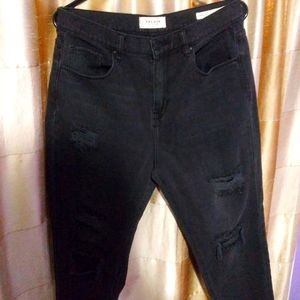 New Pacsun (WOT) Vintage  Mom Distress  Jeans